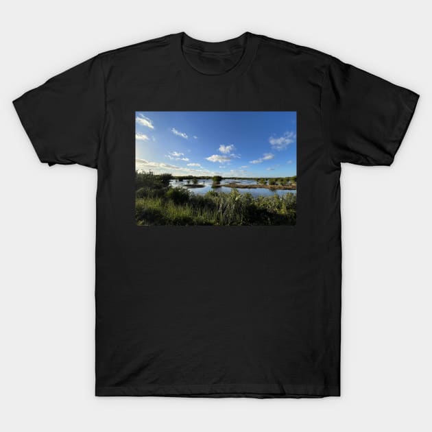 Florida Everglades T-Shirt by Sparkleweather